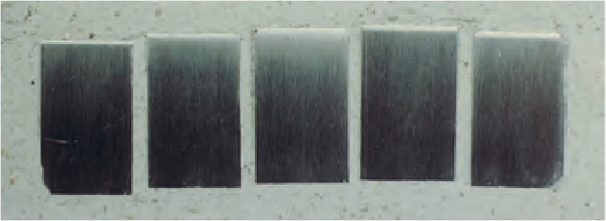 屋内暴露試験 2年後