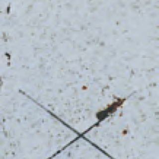 耐塩水噴霧性試験 試験前