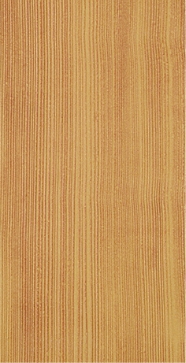 カラーサンプル4