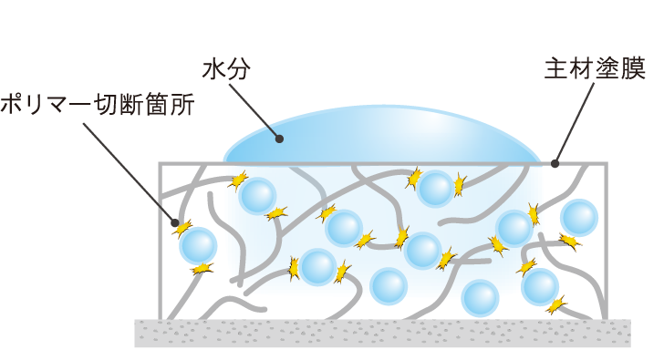 非架橋タイプ塗料に雨水が触れた際の塗膜のポリマー加水分解